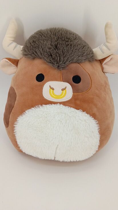 Kellytoy Other - Squishmallows Shep Highland Cow 11" Plush S11 #1672 Kellytoy 2023 w/ Hang Tag